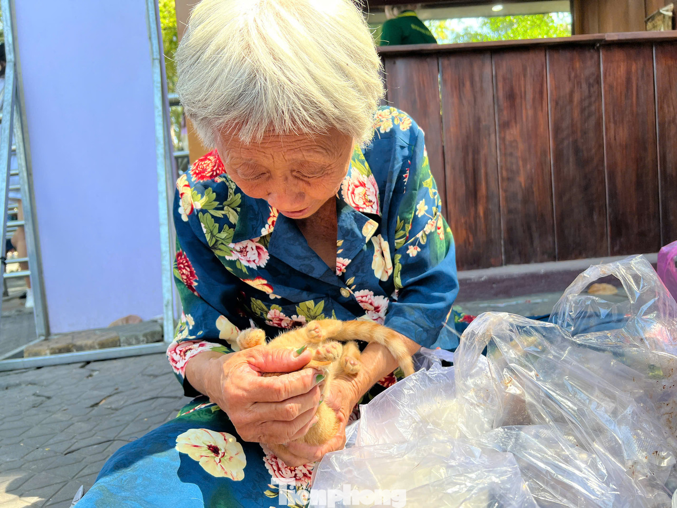 Nựng nịu một chú mèo con như một đứa trẻ, bà Năm kể, vài ngày trước có một người xin chú mèo này đưa về Vĩnh Long nuôi. Khi biết sẽ đưa đi xa, sợ mèo con bị chết nên bà không cho nữa.