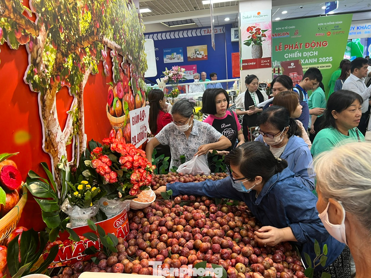 Mận hậu Sơn La bán tại các siêu thị ở TPHCM được nhập trực tiếp từ nhà vườn của tỉnh Sơn La, không qua khâu trung gian. Hàng luôn tươi mới, giá phải chăng nên người tiêu dùng TPHCM xếp hàng để mua Mận hậu Sơn La bán tại các siêu thị ở TPHCM được nhập trực tiếp từ nhà vườn của tỉnh Sơn La, không qua khâu trung gian. Hàng luôn tươi mới, giá phải chăng nên người tiêu dùng TPHCM xếp hàng để mua