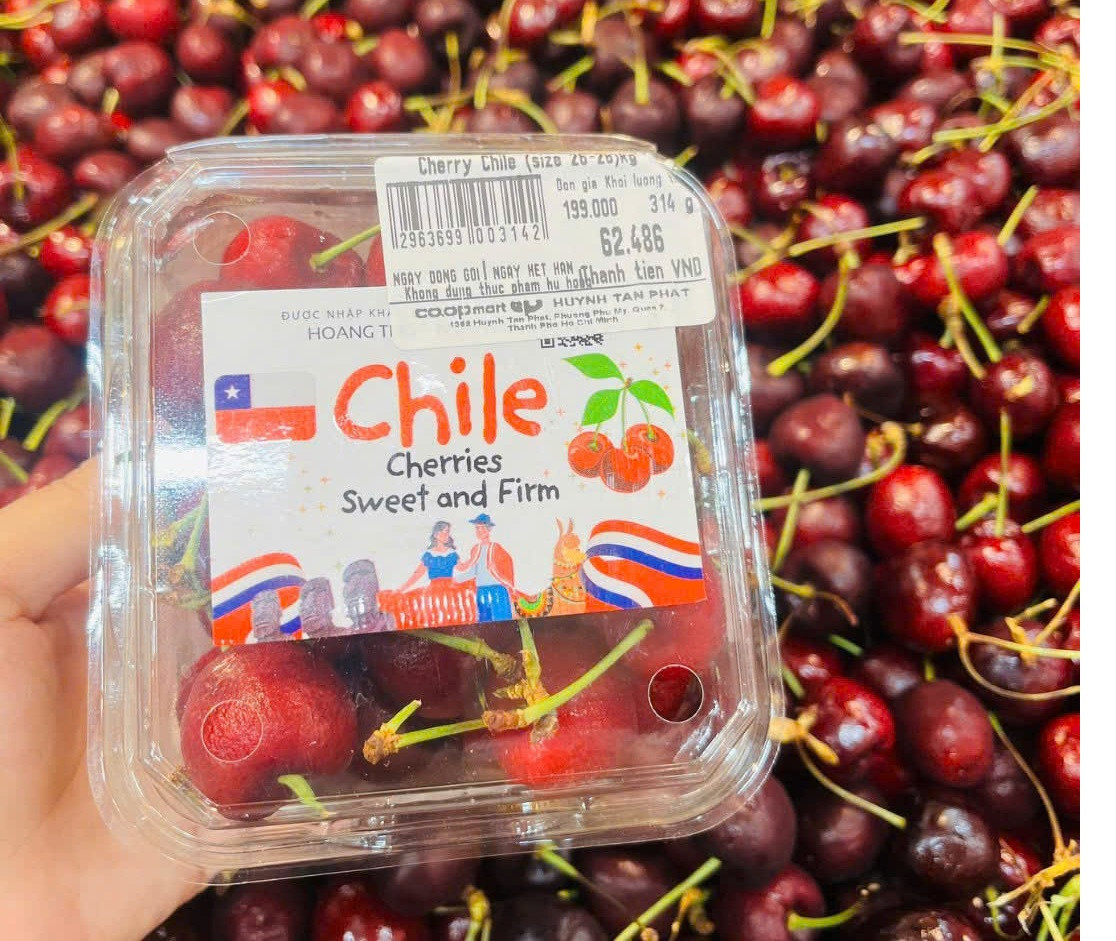 Cherry Chile trong siêu thị có giá 199.000 đồng/kg, hàng tươi mới, giòn ngọt Cherry Chile trong siêu thị có giá 199.000 đồng/kg, hàng tươi mới, giòn ngọt