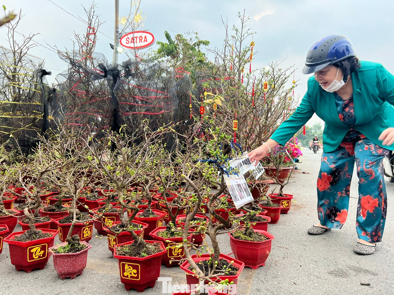 Tại đây, có đủ các loại hoa, kiểng Tết như mai, cúc, vạn thọ, hoa giấy, tắc... có giá từ 50.000 - 80.000 đồng/cặp. Với những chậu mai có giá trị, giá cũng chỉ tầm 150.000 - 1 triệu đồng/chậu. Tại đây, có đủ các loại hoa, kiểng Tết như mai, cúc, vạn thọ, hoa giấy, tắc... có giá từ 50.000 - 80.000 đồng/cặp. Với những chậu mai có giá trị, giá cũng chỉ tầm 150.000 - 1 triệu đồng/chậu.