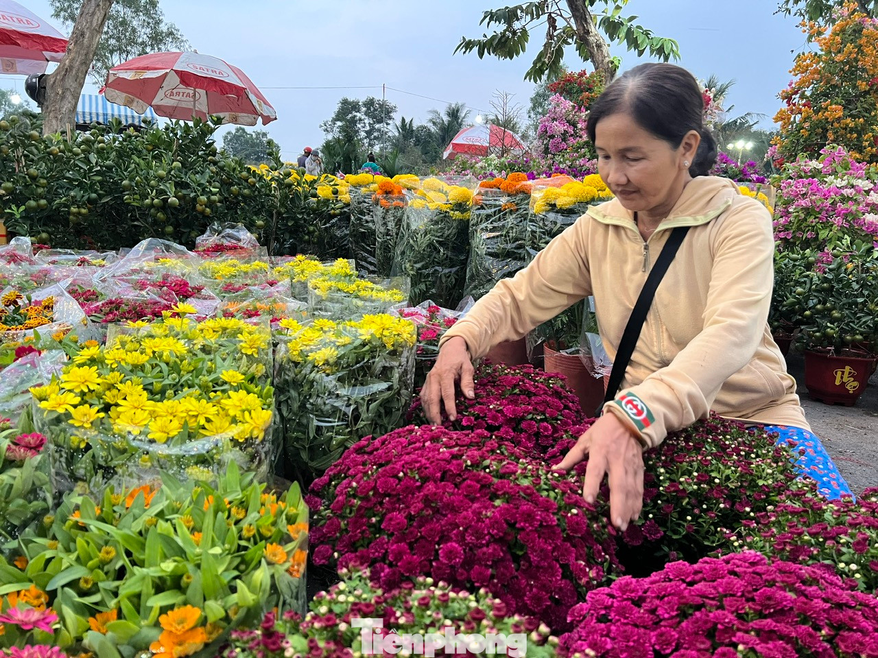 Chị Kim Phượng nói rằng, năm nay kinh tế khó khăn, người dân thắt chặt chi tiêu. Vì vậy những loại hoa giá rẻ sẽ dễ được người tiêu dùng đón nhận hơn. Chị Kim Phượng nói rằng, năm nay kinh tế khó khăn, người dân thắt chặt chi tiêu. Vì vậy những loại hoa giá rẻ sẽ dễ được người tiêu dùng đón nhận hơn.