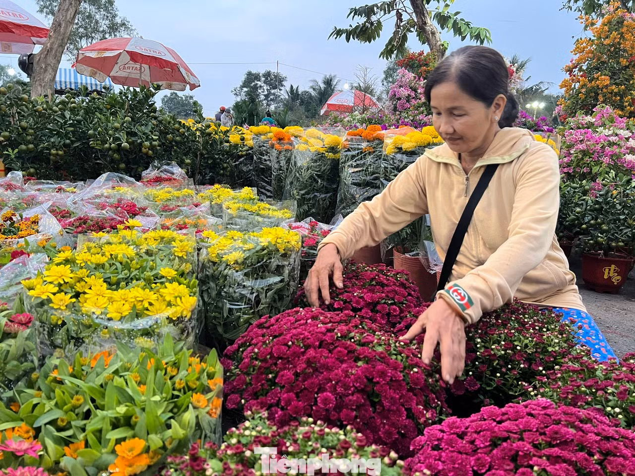 Chị Kim Phượng nói rằng, năm nay kinh tế khó khăn, người dân thắt chặt chi tiêu. Vì vậy những loại hoa giá rẻ sẽ dễ được người tiêu dùng đón nhận hơn.