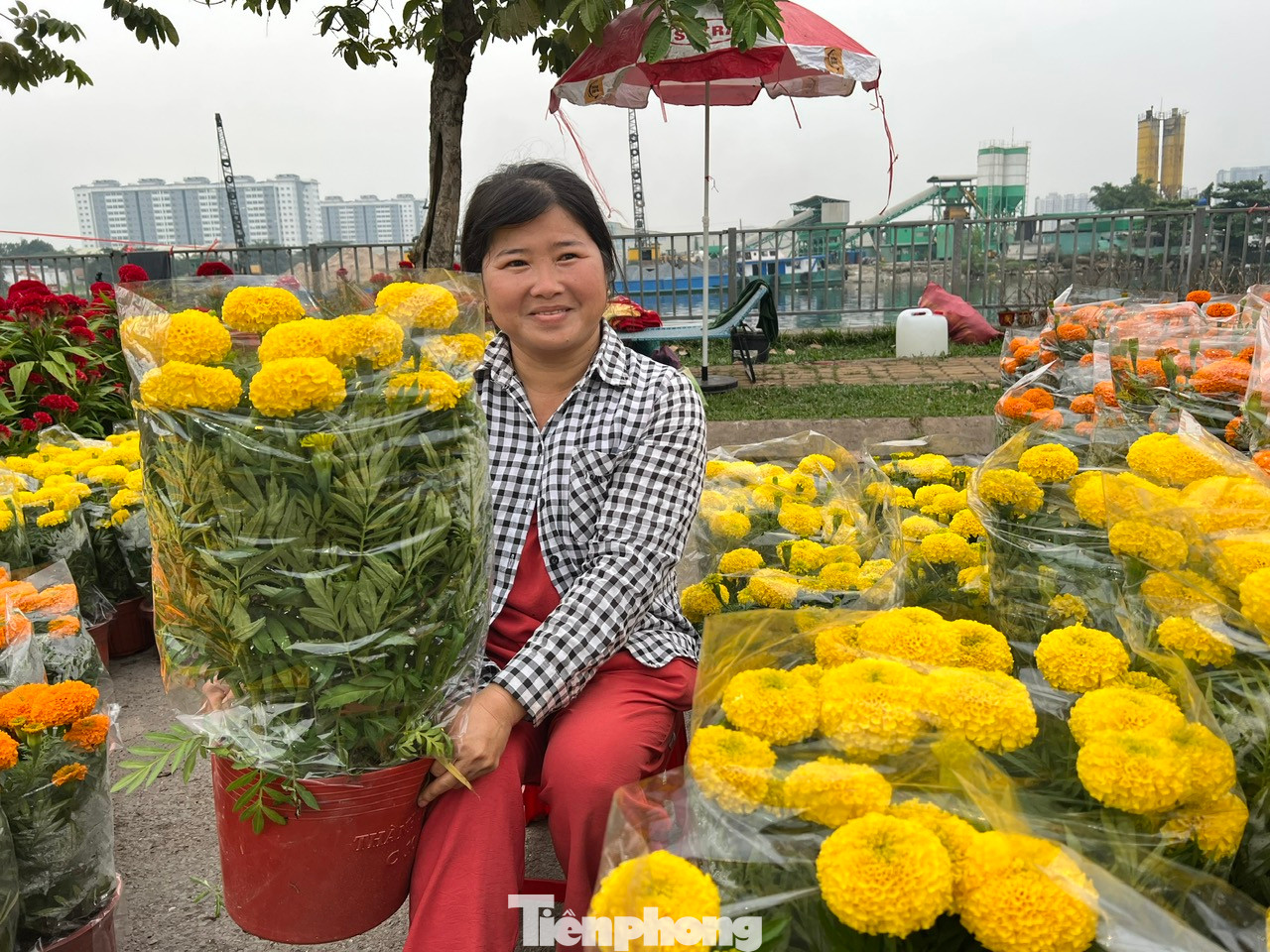 Chị Lê Thị Sữa (nhà vườn tỉnh Bến Tre) cho biết, năm nào cũng đem hoa tự trồng đến chợ Bình Điền phục vụ người dân mua chơi Tết. Theo chị Sữa, kinh tế khó khăn nên nhà vườn chọn những giống hoa có giá mềm nhưng không kém phần rực rỡ đưa đến tay khách hàng. Năm nay chị Sữa đem khoảng 300 chậu vạn thọ, mai và nhiều giống hoa có giá mềm, chỉ từ 25.000 - 35.000 đồng/chậu. Chị Lê Thị Sữa (nhà vườn tỉnh Bến Tre) cho biết, năm nào cũng đem hoa tự trồng đến chợ Bình Điền phục vụ người dân mua chơi Tết. Theo chị Sữa, kinh tế khó khăn nên nhà vườn chọn những giống hoa có giá mềm nhưng không kém phần rực rỡ đưa đến tay khách hàng. Năm nay chị Sữa đem khoảng 300 chậu vạn thọ, mai và nhiều giống hoa có giá mềm, chỉ từ 25.000 - 35.000 đồng/chậu.