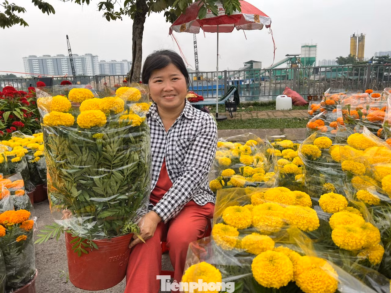 Chị Lê Thị Sữa (nhà vườn tỉnh Bến Tre) cho biết, năm nào cũng đem hoa tự trồng đến chợ Bình Điền phục vụ người dân mua chơi Tết. Theo chị Sữa, kinh tế khó khăn nên nhà vườn chọn những giống hoa có giá mềm nhưng không kém phần rực rỡ đưa đến tay khách hàng. Năm nay chị Sữa đem khoảng 300 chậu vạn thọ, mai và nhiều giống hoa có giá mềm, chỉ từ 25.000 - 35.000 đồng/chậu.