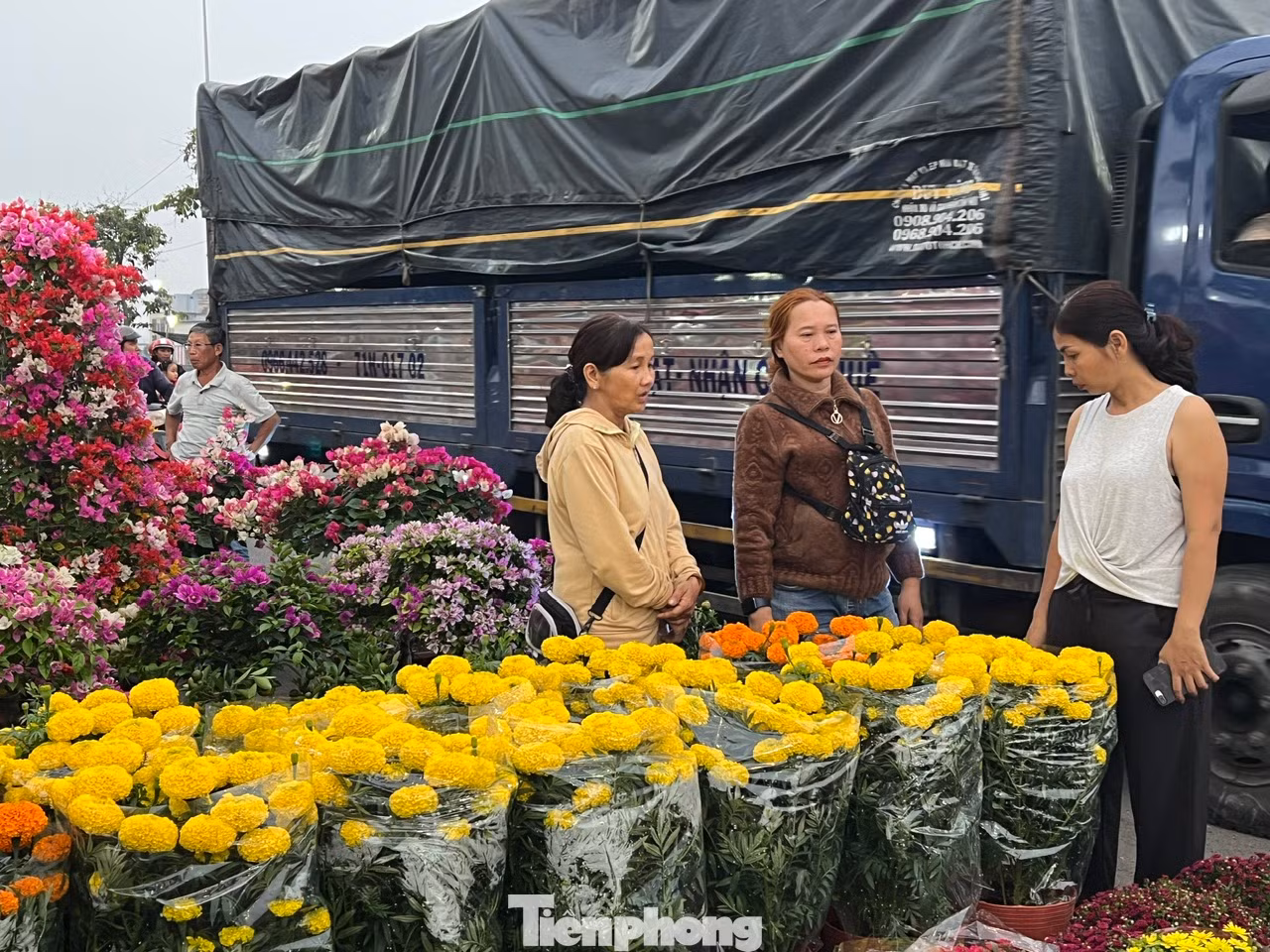 Các nhà vườn liên tục nhập hoa về chợ phục vụ khách mua. Ngay trong ngày đầu mở bán, bà Kim Phượng (ngoài cùng bên trái) đã bán liền chục chậu cho khách hàng. "Tôi bán hoa tự trồng, không qua trung gian nên giá rất mềm. Vì vậy khách đến ủng hộ khá đông. Hy vọng những ngày sắp tới sẽ còn đắt hàng hơn" - bà Phượng kỳ vọng.