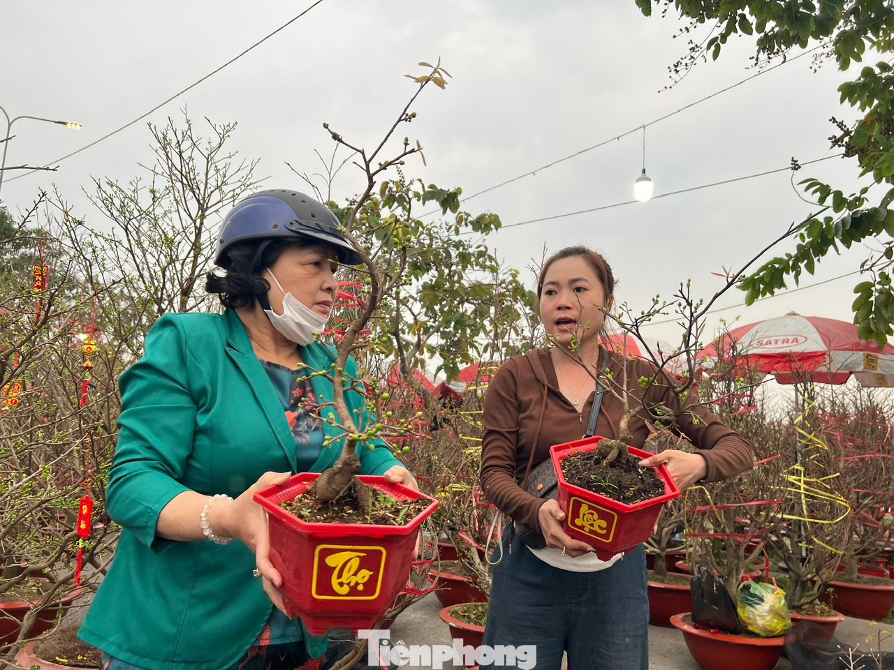 Mai vàng được chăm sóc cẩn thận, gốc đẹp và có giá chỉ 150.000 đồng/chậu. Nhiều khách hàng ở xa tận TP Thủ Đức, huyện Nhà Bè cũng tìm đến mua hoa giá rẻ chơi Tết. Mai vàng được chăm sóc cẩn thận, gốc đẹp và có giá chỉ 150.000 đồng/chậu. Nhiều khách hàng ở xa tận TP Thủ Đức, huyện Nhà Bè cũng tìm đến mua hoa giá rẻ chơi Tết.