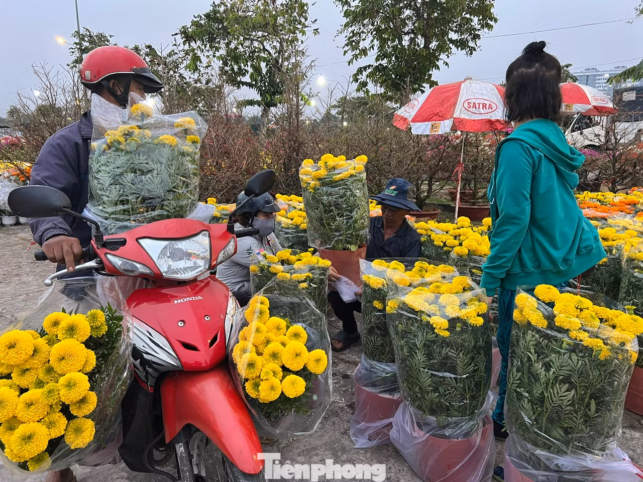 Khách đến chợ hoa này đa số là tiểu thương, người lao động có thu nhập thấp. Ai đến chợ cũng chở đầy xe hoa xuân về nhà chơi Tết. "Nhà ở Bình Chánh nhưng tôi đều đến chợ hoa Bình Điền để mua hoa chơi Tết. Giá ở đây rất mềm, phù hợp với thu nhập của tôi. Trong nhà có hoa tươi khoe sắc ngày xuân sẽ mang lại nhiều niềm vui trong suốt năm" - chị Lưu Thị Hà (công nhân may) cho biết.