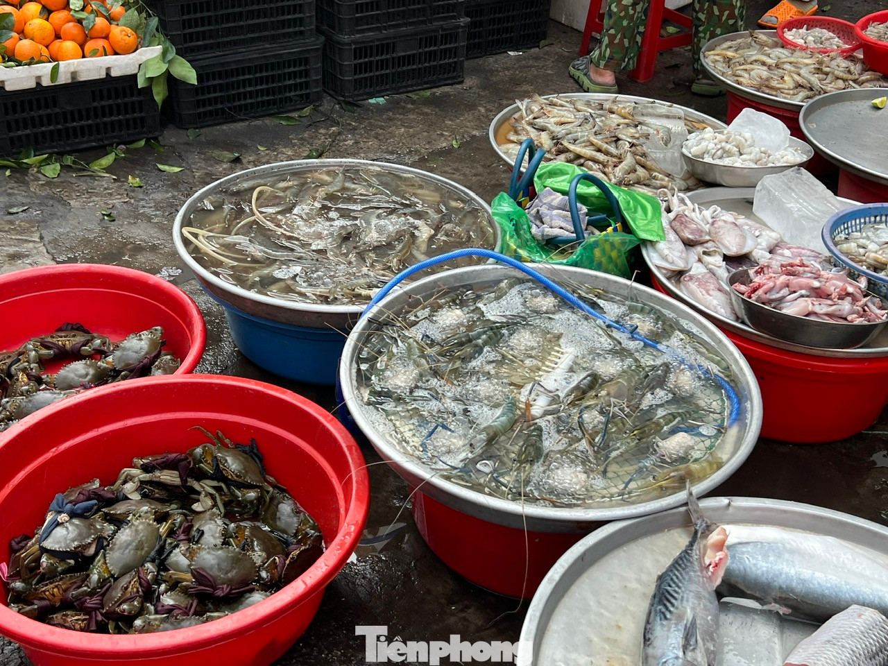 Tôm, cua cũng được tiểu thương bày bán, giá tăng cao. Như cua loại nhỏ có giá tới 400.000 đồng/kg, tôm càng xanh còn sống giá 398.000 đồng/con...