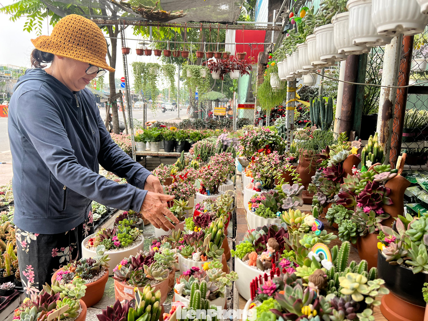 Trên nhiều tuyến đường ở TPHCM thuộc các quận 10, Tân Bình, Bình Tân... hoa kiểng đã được các nhà vườn ở Đà Lạt, miền Tây Nam bộ đưa về thành phố với số lượng lớn để phục vụ người dân chơi Tết. Trên nhiều tuyến đường ở TPHCM thuộc các quận 10, Tân Bình, Bình Tân... hoa kiểng đã được các nhà vườn ở Đà Lạt, miền Tây Nam bộ đưa về thành phố với số lượng lớn để phục vụ người dân chơi Tết.