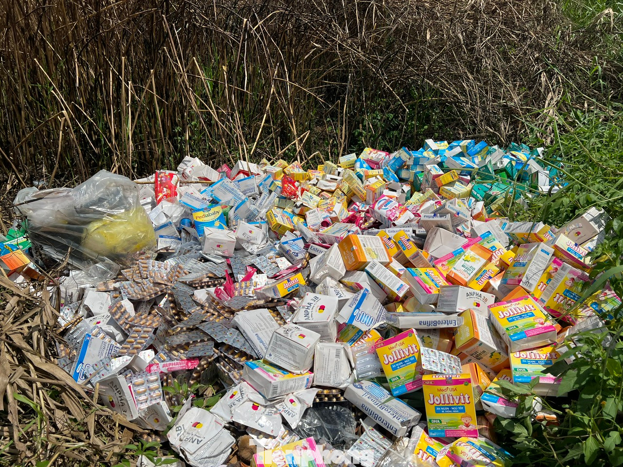 Trưa 6/6, PV báo Tiền Phong đã đến Công an xã Phong Phú, huyện Bình Chánh. Đại diện Công an xã cho biết, đây là lần đầu tiên có tình trạng đổ trộm thực phẩm chức năng tại khu vực này. Hiện đơn vị đã báo cáo Công an TPHCM, phối hợp với các đơn vị cũng như lập biên bản hiện trường. Trưa 6/6, PV báo Tiền Phong đã đến Công an xã Phong Phú, huyện Bình Chánh. Đại diện Công an xã cho biết, đây là lần đầu tiên có tình trạng đổ trộm thực phẩm chức năng tại khu vực này. Hiện đơn vị đã báo cáo Công an TPHCM, phối hợp với các đơn vị cũng như lập biên bản hiện trường.