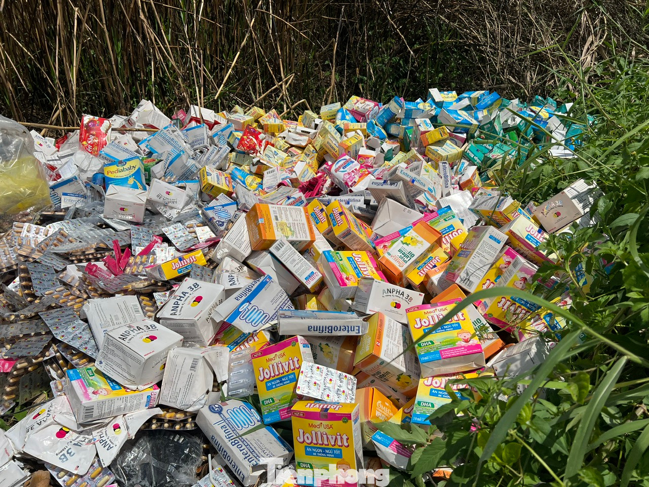 "Núi" thực phẩm chức năng nghi giả, nhái, kém chất lượng bị đổ bỏ tại vùng ven TPHCM. "Núi" thực phẩm chức năng nghi giả, nhái, kém chất lượng bị đổ bỏ tại vùng ven TPHCM.