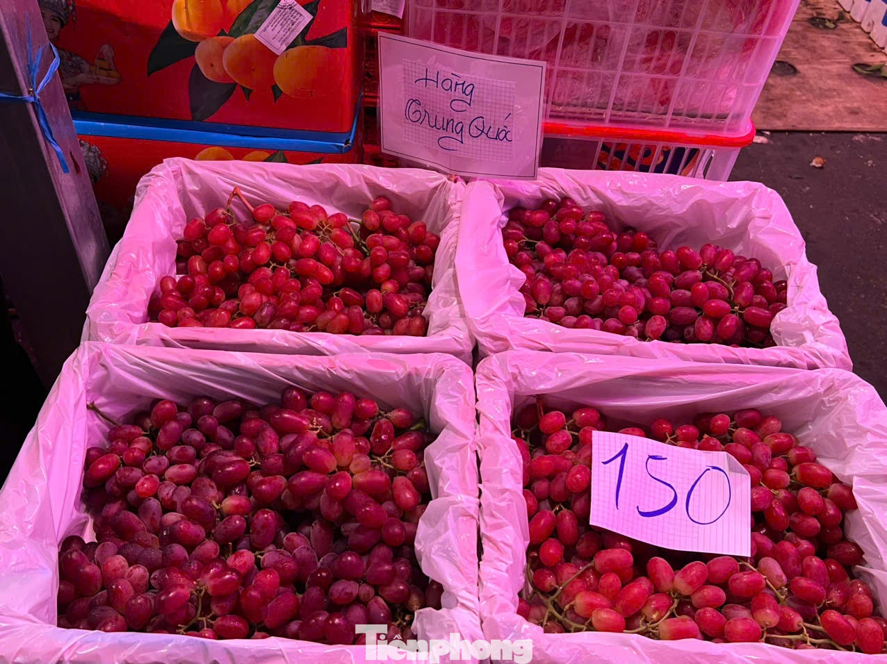 Cam, nho nhập từ Trung Quốc về chợ đầu mối nông sản Thủ Đức (TPHCM) chỉ có giá từ 20.000 - 30.000 đồng/kg Cam, nho nhập từ Trung Quốc về chợ đầu mối nông sản Thủ Đức (TPHCM) chỉ có giá từ 20.000 - 30.000 đồng/kg