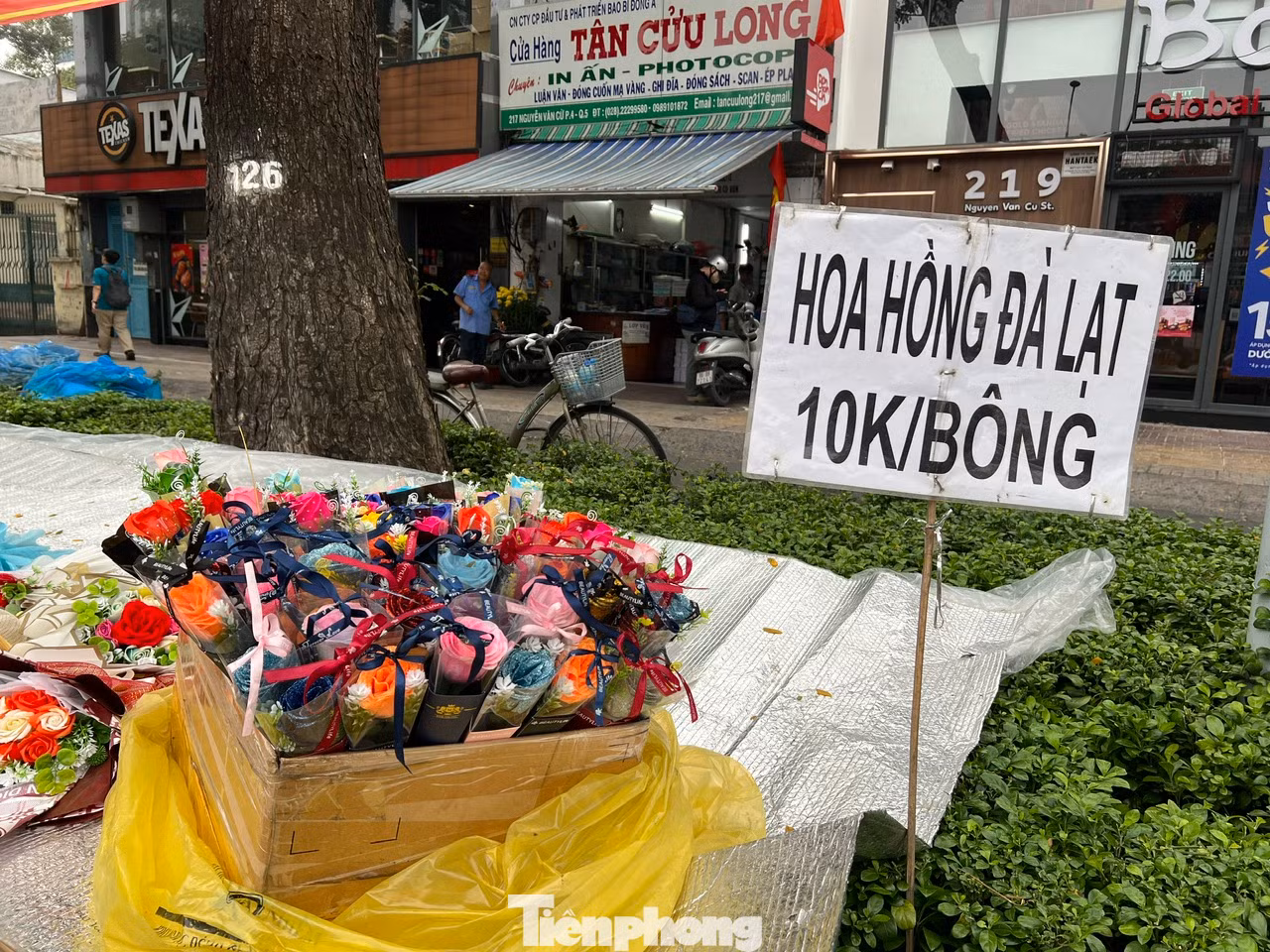 Hoa hồng Đà Lạt chỉ 10.000 đồng/bông. "Mặc dù hôm nay đúng ngày 14/2 nhưng giá hoa không tăng, thậm chí còn giảm ngay từ đầu ngày để hút khách mua" - chị Lan (bán tươi ở góc đường Nguyễn Văn Cừ, quận 5) cho biết. Hoa hồng Đà Lạt chỉ 10.000 đồng/bông. "Mặc dù hôm nay đúng ngày 14/2 nhưng giá hoa không tăng, thậm chí còn giảm ngay từ đầu ngày để hút khách mua" - chị Lan (bán tươi ở góc đường Nguyễn Văn Cừ, quận 5) cho biết.