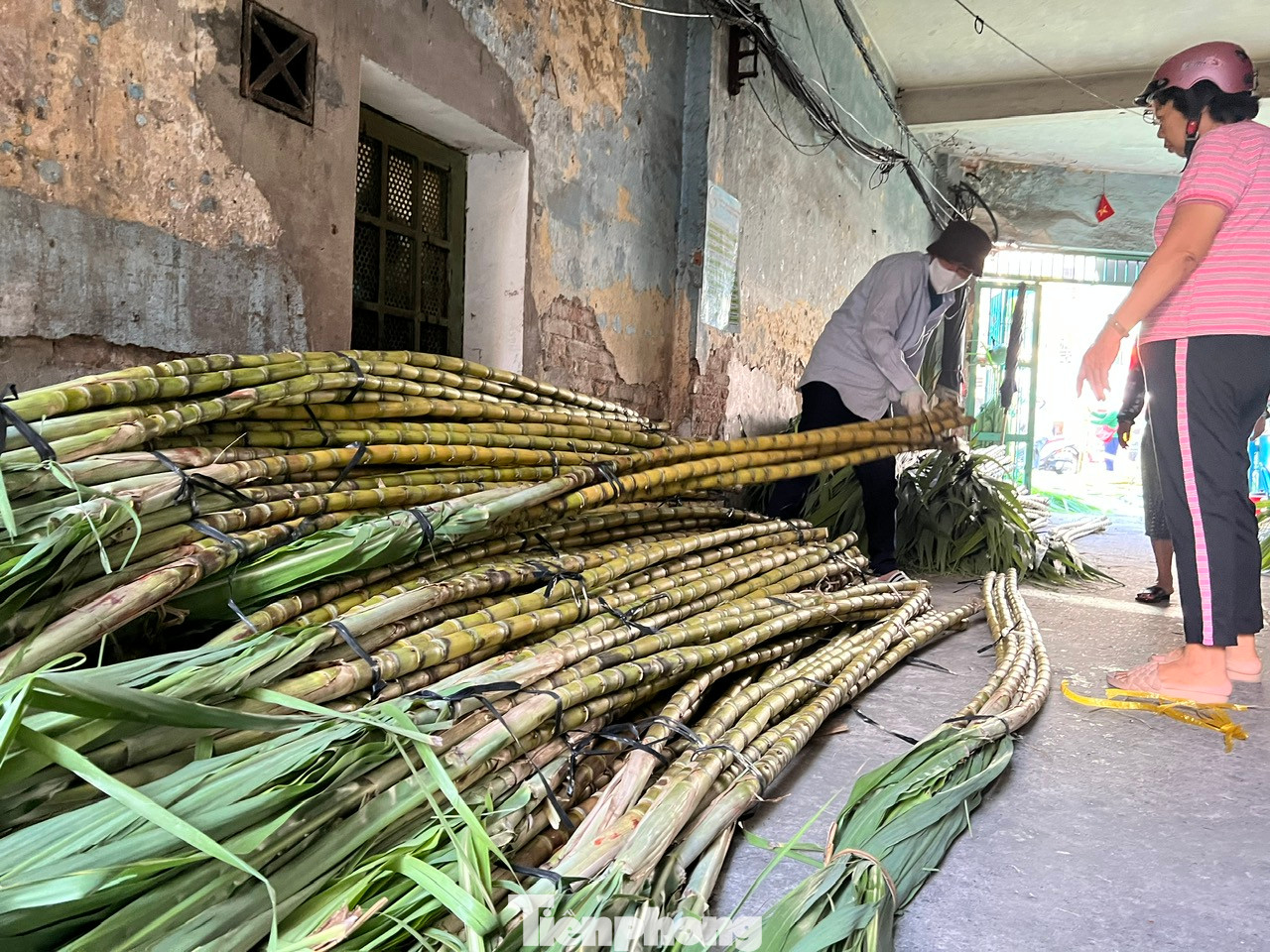 Tiểu thương cực kỳ chiều theo yêu cầu của khách, sẵn sàng lật từng bó mía để khách chọn những cặp mía đến khi vừa ý mới thôi.