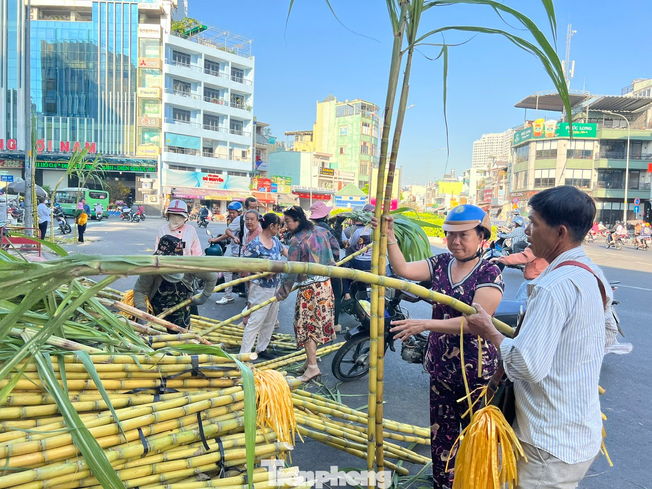 Ngày 5/2, tại một góc nhỏ trên đường Lê Quang Sung (quận 6, TPHCM), một "chợ mía" độc đáo mỗi năm chỉ họp một lần nhộn nhịp người mua kẻ bán. Nhiều năm qua, cứ tầm mùng 7 và mùng 8 tháng Giêng, tiểu thương lại đưa mía vàng (được coi là "lễ vật" linh thiêng) đến bán phục vụ nhu cầu mua cúng vía Ngọc Hoàng (còn gọi là vía Trời) vào mùng 9 tháng Giêng.