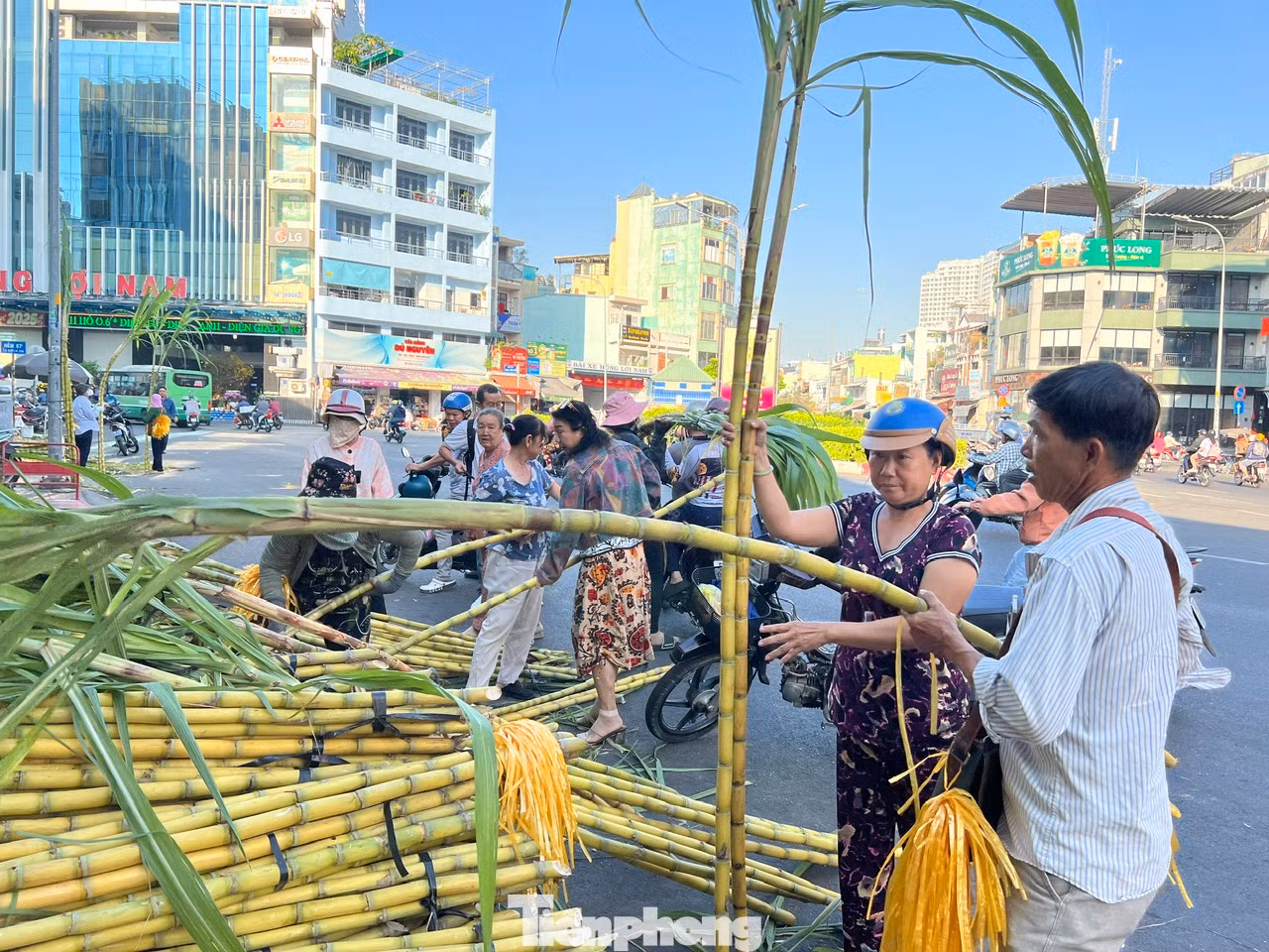 Ngày 5/2, tại một góc nhỏ trên đường Lê Quang Sung (quận 6, TPHCM), một "chợ mía" độc đáo mỗi năm chỉ họp một lần nhộn nhịp người mua kẻ bán. Nhiều năm qua, cứ tầm mùng 7 và mùng 8 tháng Giêng, tiểu thương lại đưa mía vàng (được coi là "lễ vật" linh thiêng) đến bán phục vụ nhu cầu mua cúng vía Ngọc Hoàng (còn gọi là vía Trời) vào mùng 9 tháng Giêng. Ngày 5/2, tại một góc nhỏ trên đường Lê Quang Sung (quận 6, TPHCM), một "chợ mía" độc đáo mỗi năm chỉ họp một lần nhộn nhịp người mua kẻ bán. Nhiều năm qua, cứ tầm mùng 7 và mùng 8 tháng Giêng, tiểu thương lại đưa mía vàng (được coi là "lễ vật" linh thiêng) đến bán phục vụ nhu cầu mua cúng vía Ngọc Hoàng (còn gọi là vía Trời) vào mùng 9 tháng Giêng.