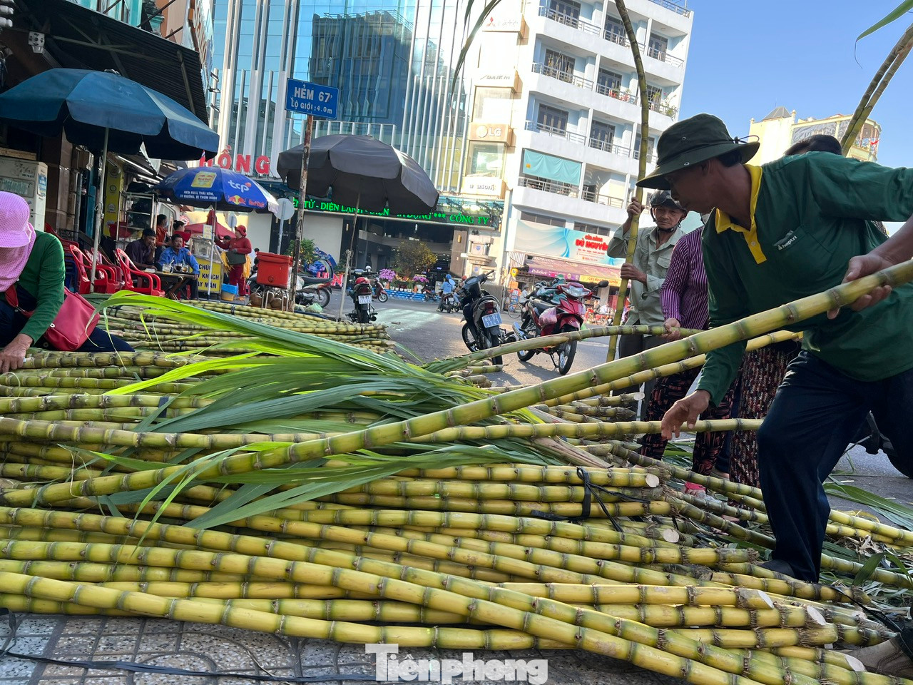 Mía vàng được gia đình anh Trần Ngọc Vân (Tiền Giang) bắt đầu trồng từ tháng 5 năm ngoái, đến tháng Giêng mới thu hoạch. Năm nay, anh Vân đưa đến TPHCM khoảng 2 tấn mía vàng, bán với giá từ 60.000 - 80.000 đồng/cặp (tùy lớn nhỏ). Giá này không tăng so với mọi năm.