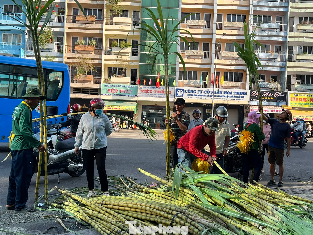 "Năm nào tôi cũng đến đây mua mía vàng cúng vía Trời. Đây là thói quen có từ thời ông bà, cha mẹ, bây giờ con cháu cứ vậy làm theo. Ước mong của tôi trong dịp này là cầu cho gia đình nhiều sức khỏe, bình an, mọi chuyện đều thuận lợi và may mắn" - ông Hiểu Lâm (ngụ quận 5) chia sẻ.