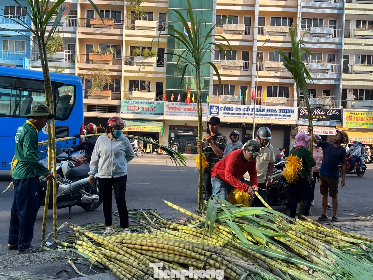 "Năm nào tôi cũng đến đây mua mía vàng cúng vía Trời. Đây là thói quen có từ thời ông bà, cha mẹ, bây giờ con cháu cứ vậy làm theo. Ước mong của tôi trong dịp này là cầu cho gia đình nhiều sức khỏe, bình an, mọi chuyện đều thuận lợi và may mắn" - ông Hiểu Lâm (ngụ quận 5) chia sẻ. "Năm nào tôi cũng đến đây mua mía vàng cúng vía Trời. Đây là thói quen có từ thời ông bà, cha mẹ, bây giờ con cháu cứ vậy làm theo. Ước mong của tôi trong dịp này là cầu cho gia đình nhiều sức khỏe, bình an, mọi chuyện đều thuận lợi và may mắn" - ông Hiểu Lâm (ngụ quận 5) chia sẻ.