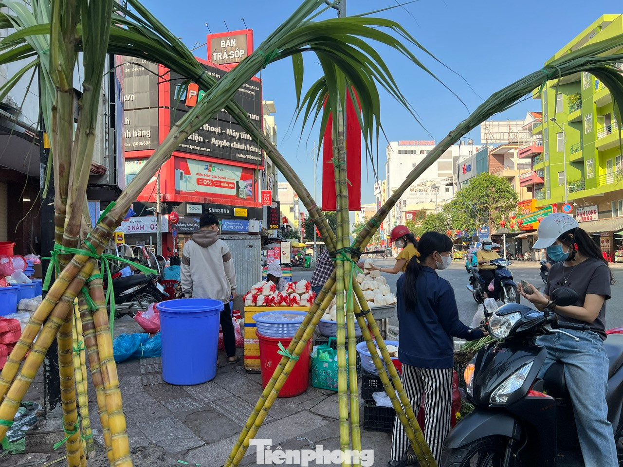 Phong tục mua mía vàng nhộn nhịp trong ngày mùng 8 tháng Giêng
