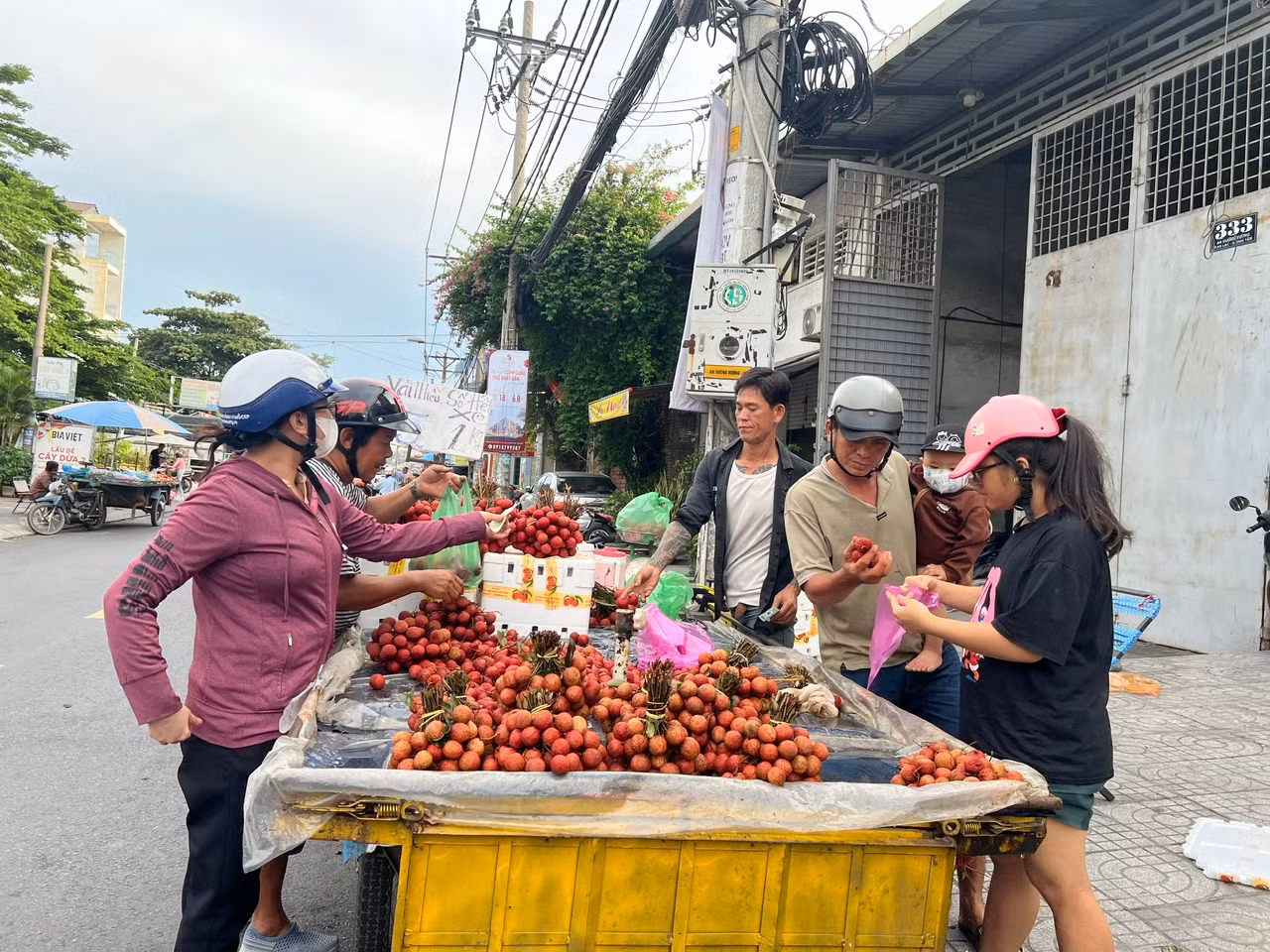 Thậm chí, người bán còn đại hạ giá, chỉ 15.000 đồng/kg thu hút rất đông khách mua Thậm chí, người bán còn đại hạ giá, chỉ 15.000 đồng/kg thu hút rất đông khách mua