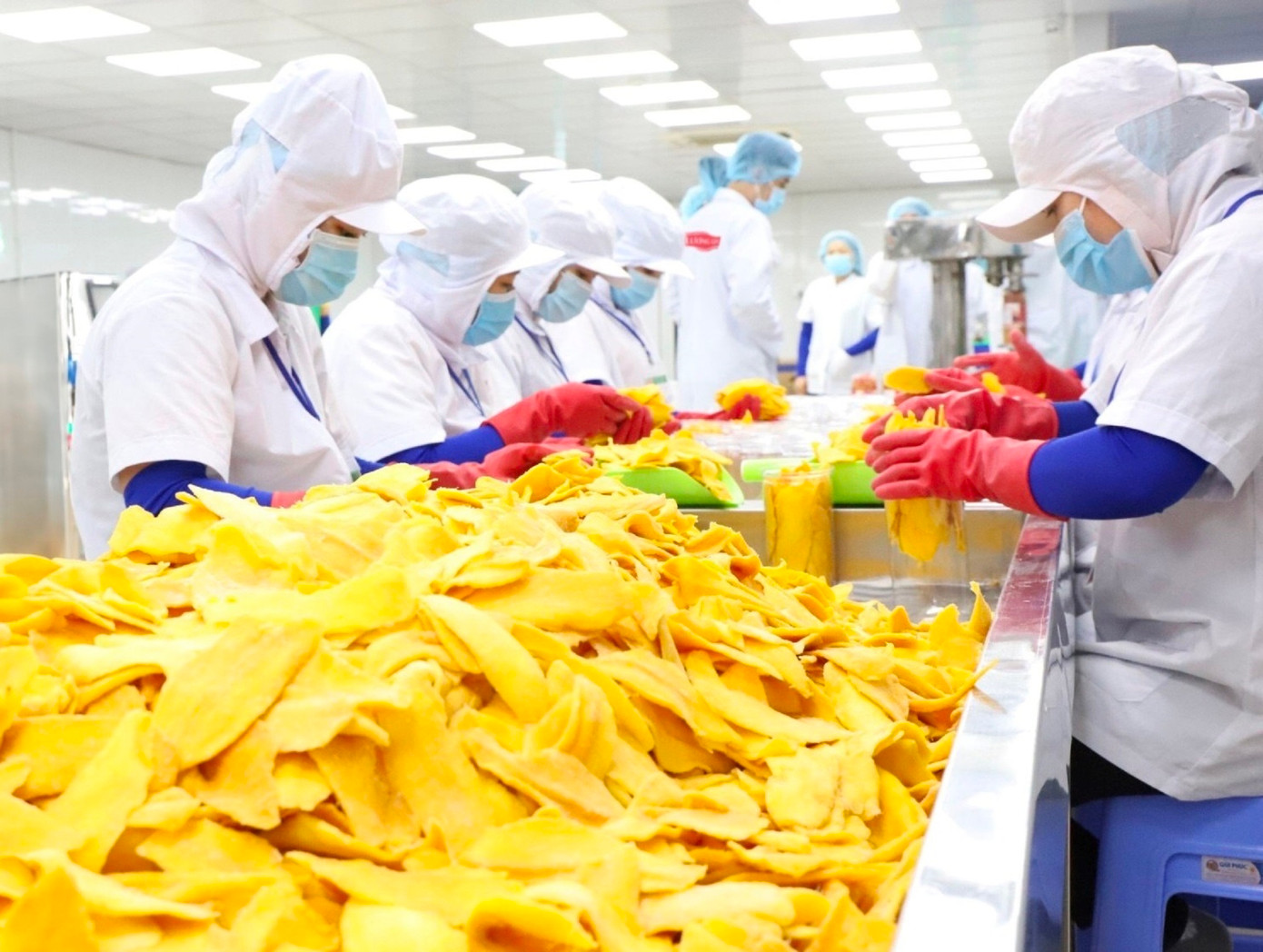 Doanh nghiệp tư nhân tận dụng cơ hội vàng Nghị quyết 68 để bứt phá.