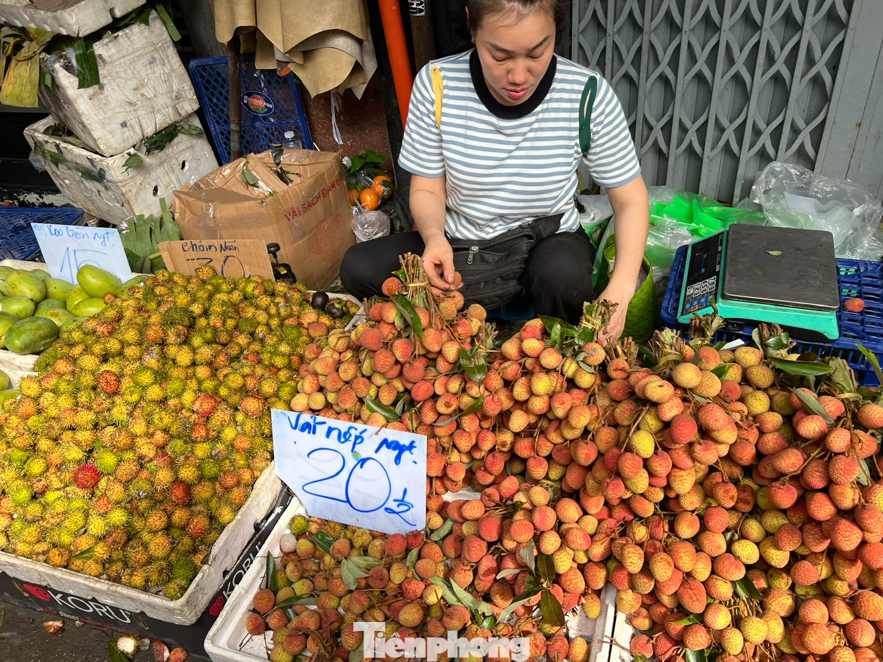 Trưa 25/5, tại nhiều chợ truyền thống như Bà Chiểu, Thị Nghè (quận Bình Thạnh), Tân Định (quận 1), Hòa Bình (quận 5)... các quầy hàng đều chất đầy ắp những chùm vải tươi chín đỏ. Quả vải tươi được tiểu thương bày bán có giá từ 30.000 - 40.000 đồng/kg, chủ yếu từ Hà Nội chở xuống.