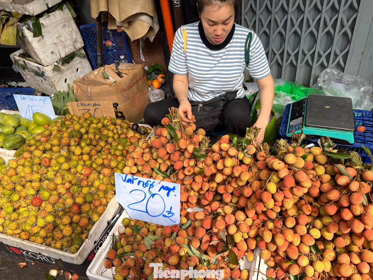 Trưa 25/5, tại nhiều chợ truyền thống như Bà Chiểu, Thị Nghè (quận Bình Thạnh), Tân Định (quận 1), Hòa Bình (quận 5)... các quầy hàng đều chất đầy ắp những chùm vải tươi chín đỏ. Quả vải tươi được tiểu thương bày bán có giá từ 30.000 - 40.000 đồng/kg, chủ yếu từ Hà Nội chở xuống.