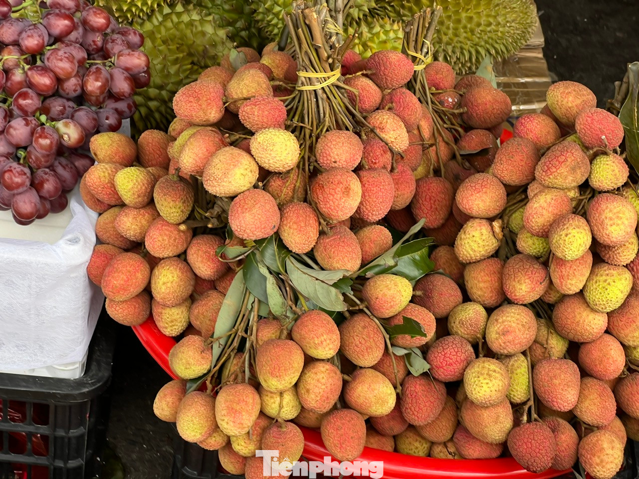 Những quả vải chín mọng, vỏ căng mướt nhưng giá lại rất mềm.