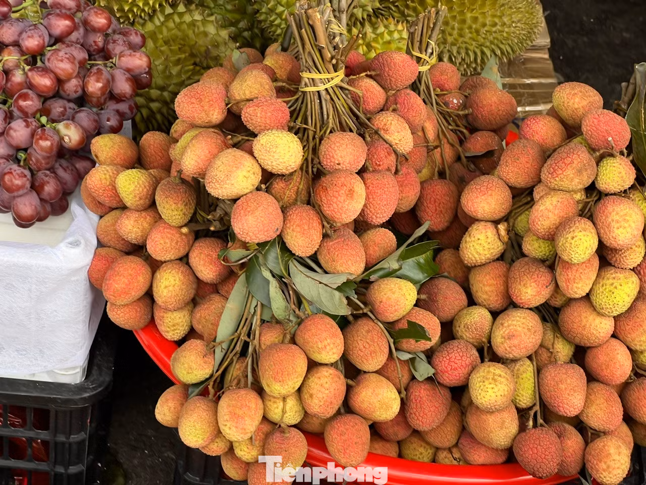 Những quả vải chín mọng, vỏ căng mướt nhưng giá lại rất mềm.