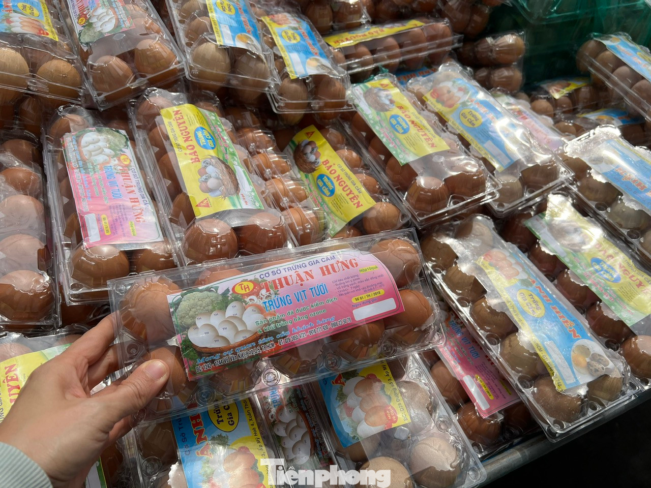 Trứng gà giá rẻ thu hút người đi đường mua số lượng lớn, từ 20 - 30 trứng/người.