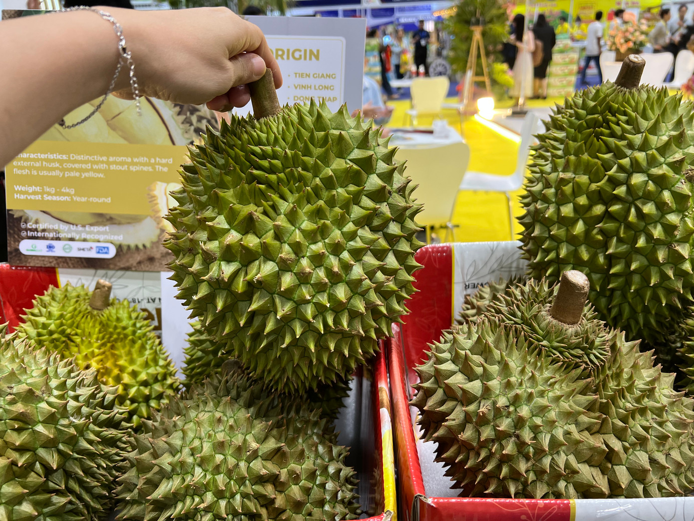 Các loại nông sản chất lượng cao được trưng bày tại hội chợ. Các loại nông sản chất lượng cao được trưng bày tại hội chợ.