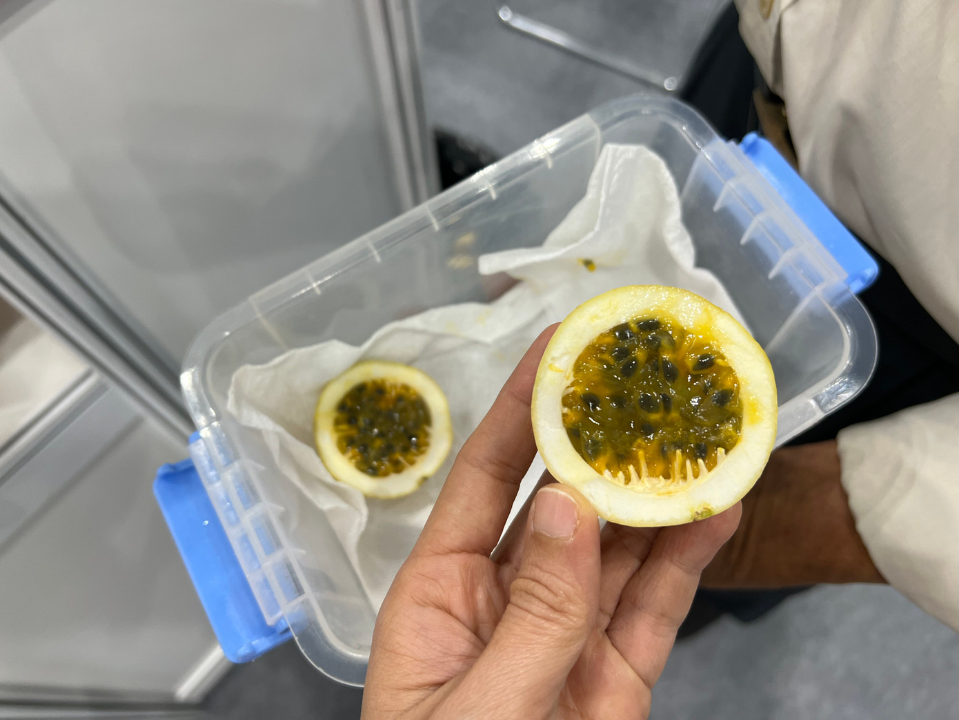 Chanh leo ngọt như mật, có hương thơm của ổi và giá lên tới 120.000 đồng/kg. Chanh leo ngọt như mật, có hương thơm của ổi và giá lên tới 120.000 đồng/kg.