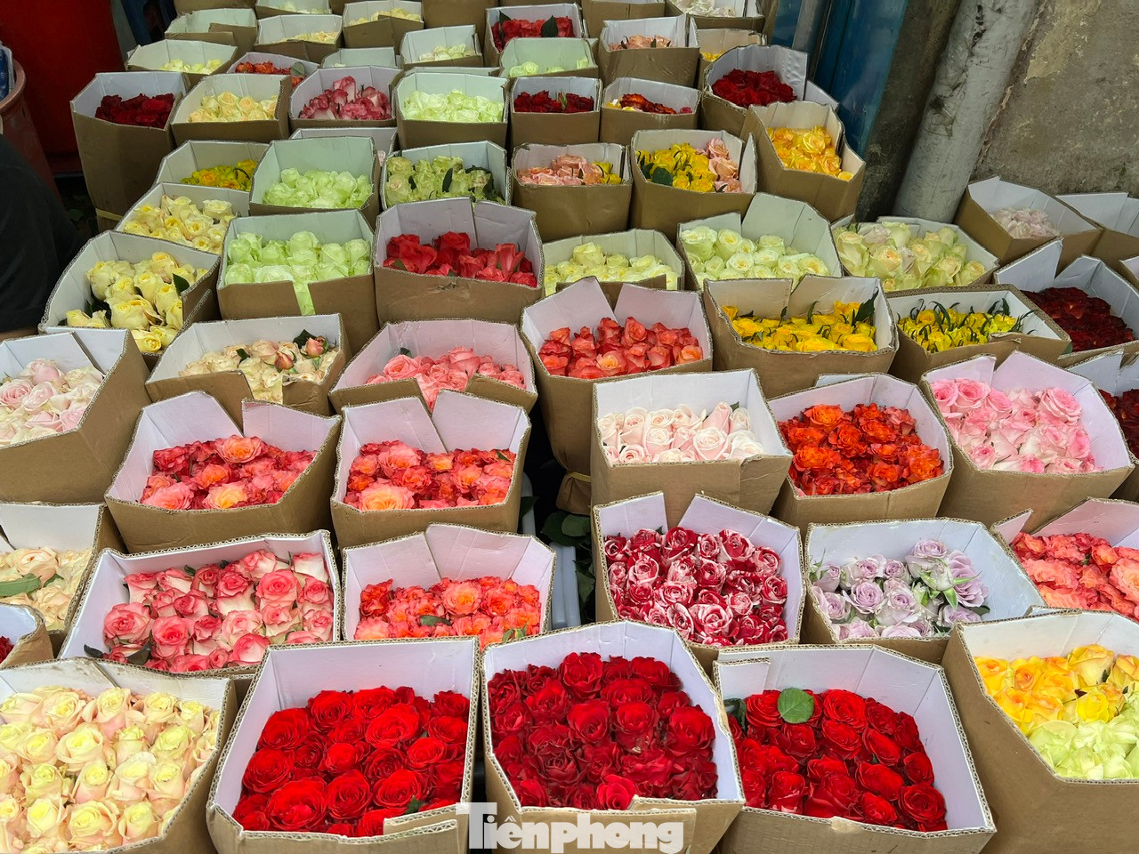 Các sàn thương mại điện tử như Shopee, Lazada, Tiki… cũng tung hàng loạt khuyến mãi các sản phẩm thời trang, mỹ phẩm như mua là có quà, săn voucher giảm giá đến 830.000 đồng. “Thay vì đi nhiều nơi để tìm món quà phù hợp để tặng mẹ, vợ và em gái, nay tôi chỉ cần một cú “nhấp chuột” lên sàn thương mại điện tử. Mua sắm tiện lợi, nhiều khuyến mãi, sản phẩm chất lượng và giao hàng tận nơi, nhanh chóng nên tôi rất hài lòng” – anh Nguyễn Xuân Hòa (ngụ quận Bình Thạnh) cho biết. Các sàn thương mại điện tử như Shopee, Lazada, Tiki… cũng tung hàng loạt khuyến mãi các sản phẩm thời trang, mỹ phẩm như mua là có quà, săn voucher giảm giá đến 830.000 đồng. “Thay vì đi nhiều nơi để tìm món quà phù hợp để tặng mẹ, vợ và em gái, nay tôi chỉ cần một cú “nhấp chuột” lên sàn thương mại điện tử. Mua sắm tiện lợi, nhiều khuyến mãi, sản phẩm chất lượng và giao hàng tận nơi, nhanh chóng nên tôi rất hài lòng” – anh Nguyễn Xuân Hòa (ngụ quận Bình Thạnh) cho biết.