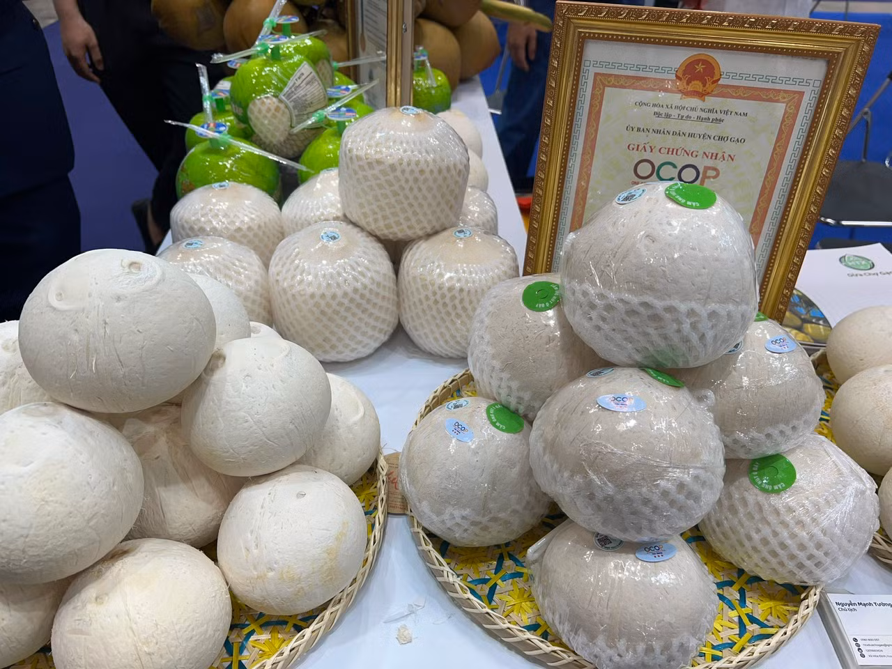 Dừa Việt Nam xuất khẩu kỳ vọng giá tăng khoảng 30.000 - 40.000 đồng/trái. Dừa Việt Nam xuất khẩu kỳ vọng giá tăng khoảng 30.000 - 40.000 đồng/trái.