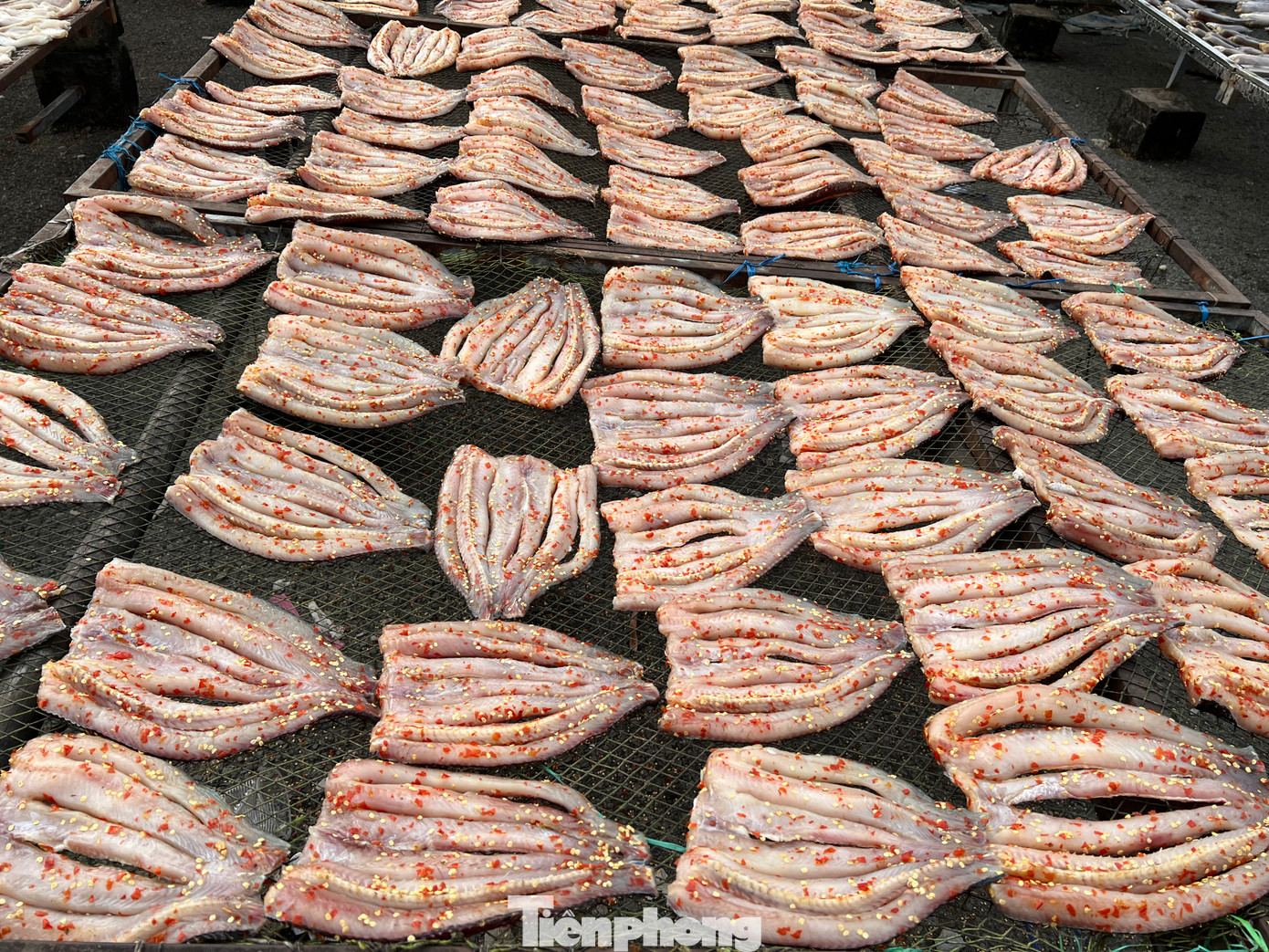 &apos;Chợ khô&apos; mở cửa từ 5 giờ sáng đến tận chiều tối. Bên trong khu chợ bán nhiều loại sản phẩm dòng họ khô như cá tra, cá chỉ vàng, tép, cá sặc, mực khô, lạp xưởng khô…