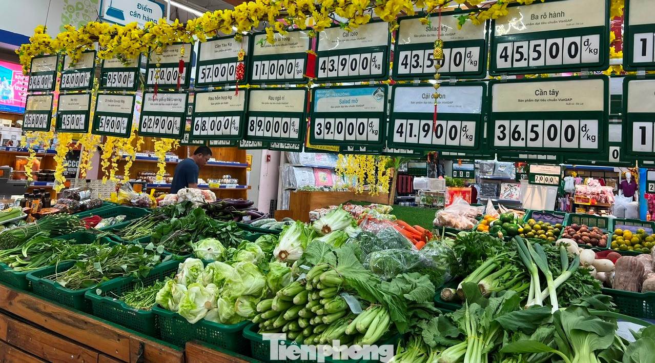 Các loại rau tại siêu thị Co.op Mart khá đa dạng, nhiều loại rau củ mới nhập về như dưa leo, cà chua... với giá 25.000 đồng/kg, bắp cải 28.000 đồng/kg... Các loại trái cây như bưởi da xanh, dưa hấu, cam, quýt... đều có đủ. Các loại rau tại siêu thị Co.op Mart khá đa dạng, nhiều loại rau củ mới nhập về như dưa leo, cà chua... với giá 25.000 đồng/kg, bắp cải 28.000 đồng/kg... Các loại trái cây như bưởi da xanh, dưa hấu, cam, quýt... đều có đủ.