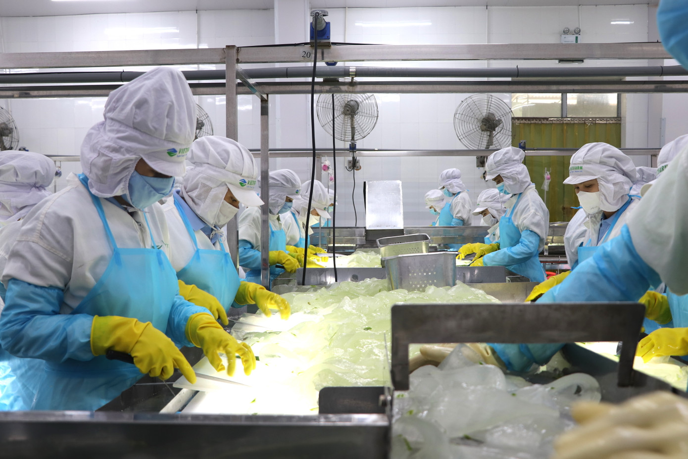 Thực hiện kinh tế tuần hoàn, hạn chế rác thải, thân thiện môi trường... là giải pháp của nhiều DN khi tiến đến chuyển đổi xanh. Thực hiện kinh tế tuần hoàn, hạn chế rác thải, thân thiện môi trường... là giải pháp của nhiều DN khi tiến đến chuyển đổi xanh.