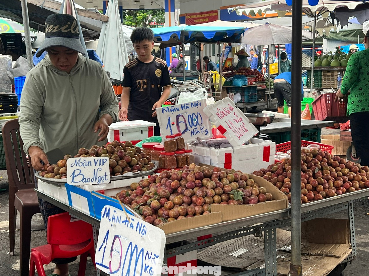 Tại các chợ truyền thống và nhiều tuyến đường ở TPHCM, mận hậu bán đầy các quầy sạp, giá chỉ 20.000 đồng/kg. Mận hậu đang vào mùa nên quả to, ngọt chứ không còn vị chua chát như hồi đầu mùa, đặc biệt giá rất rẻ Tại các chợ truyền thống và nhiều tuyến đường ở TPHCM, mận hậu bán đầy các quầy sạp, giá chỉ 20.000 đồng/kg. Mận hậu đang vào mùa nên quả to, ngọt chứ không còn vị chua chát như hồi đầu mùa, đặc biệt giá rất rẻ