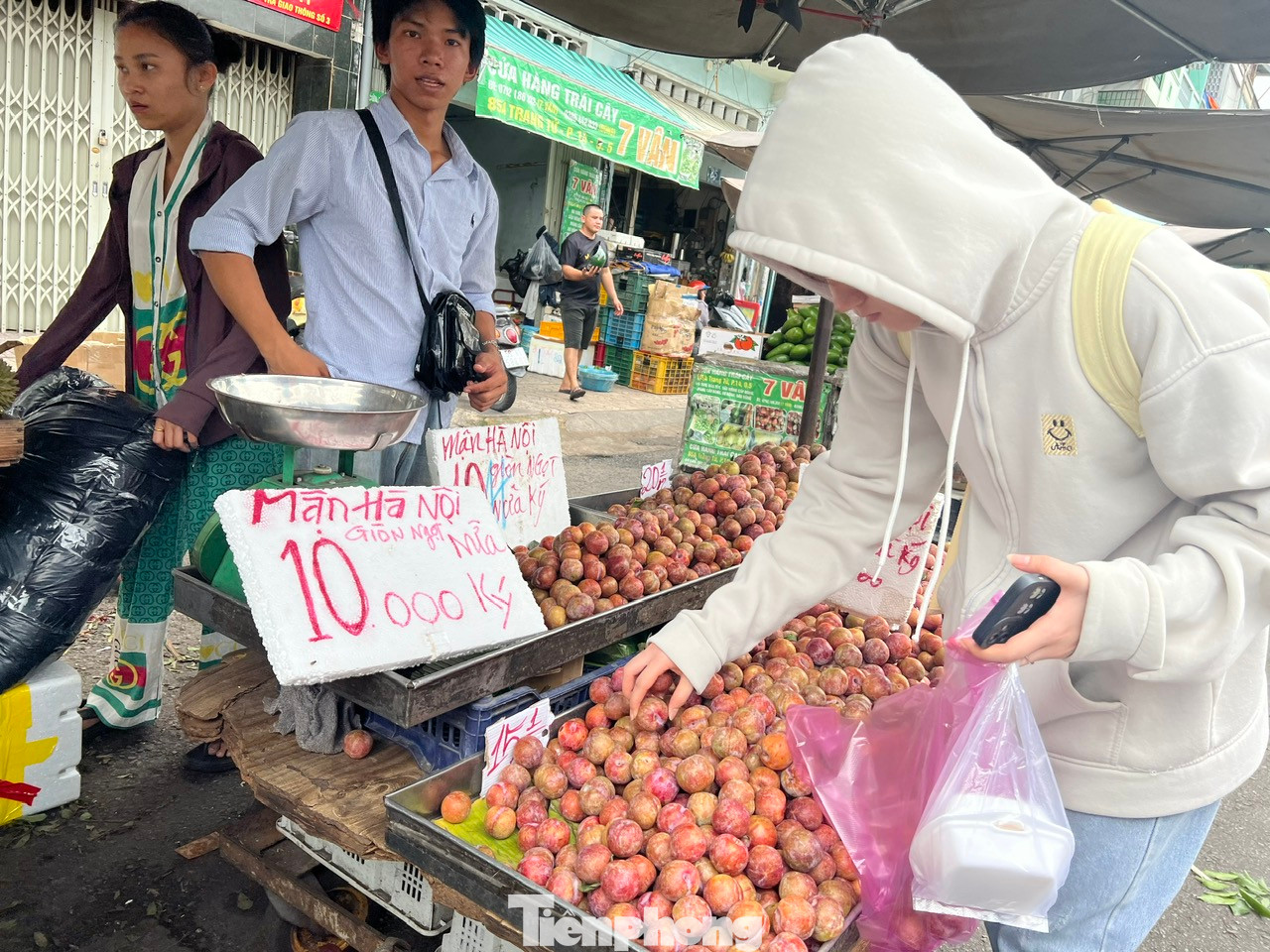 Tại các chợ truyền thống và nhiều tuyến đường ở TPHCM, mận hậu bán đầy các quầy sạp, giá chỉ 20.000 đồng/kg. Mận hậu đang vào mùa nên quả to, ngọt chứ không còn vị chua chát như hồi đầu mùa, đặc biệt giá rất rẻ Tại các chợ truyền thống và nhiều tuyến đường ở TPHCM, mận hậu bán đầy các quầy sạp, giá chỉ 20.000 đồng/kg. Mận hậu đang vào mùa nên quả to, ngọt chứ không còn vị chua chát như hồi đầu mùa, đặc biệt giá rất rẻ