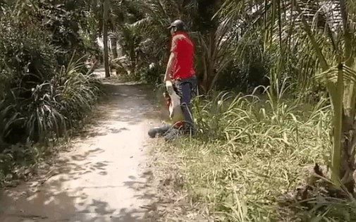 Xôn xao chồng kẹp cổ đạp vợ túi bụi giữa đường mặc con gào khóc van xin ảnh 1