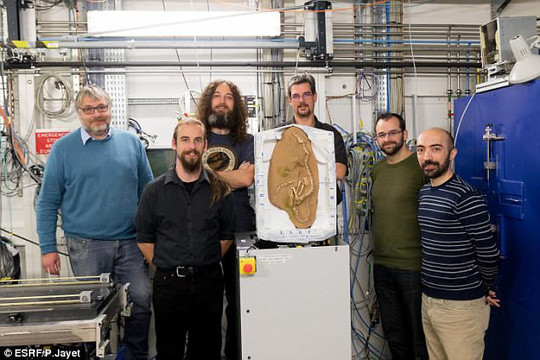 Phát hiện Khủng long thiên nga” kỳ dị ở Mông Cổ ảnh 1