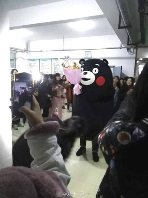 Chàng trai hóa gấu bông khổng lồ la hét tỏ tình vẫn bị từ chối phũ ảnh 1