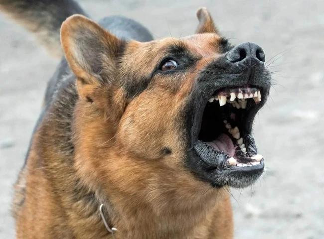 Ảnh minh họa: Internet