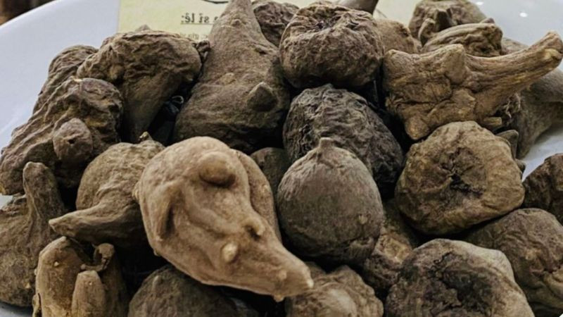 Theo bác sĩ Nguyễn Hà Anh, khoa Da liễu – Trung tâm Da liễu – Dị ứng (Bệnh viện Trung ương Quân đội 108), triệu chứng ngộ độc củ ấu tàu rất dễ bị nhầm lẫn với sốc phản vệ – một phản ứng dị ứng nặng thường xảy ra sau khi ăn thực phẩm lạ. Ảnh minh họa: Internet Theo bác sĩ Nguyễn Hà Anh, khoa Da liễu – Trung tâm Da liễu – Dị ứng (Bệnh viện Trung ương Quân đội 108), triệu chứng ngộ độc củ ấu tàu rất dễ bị nhầm lẫn với sốc phản vệ – một phản ứng dị ứng nặng thường xảy ra sau khi ăn thực phẩm lạ. Ảnh minh họa: Internet