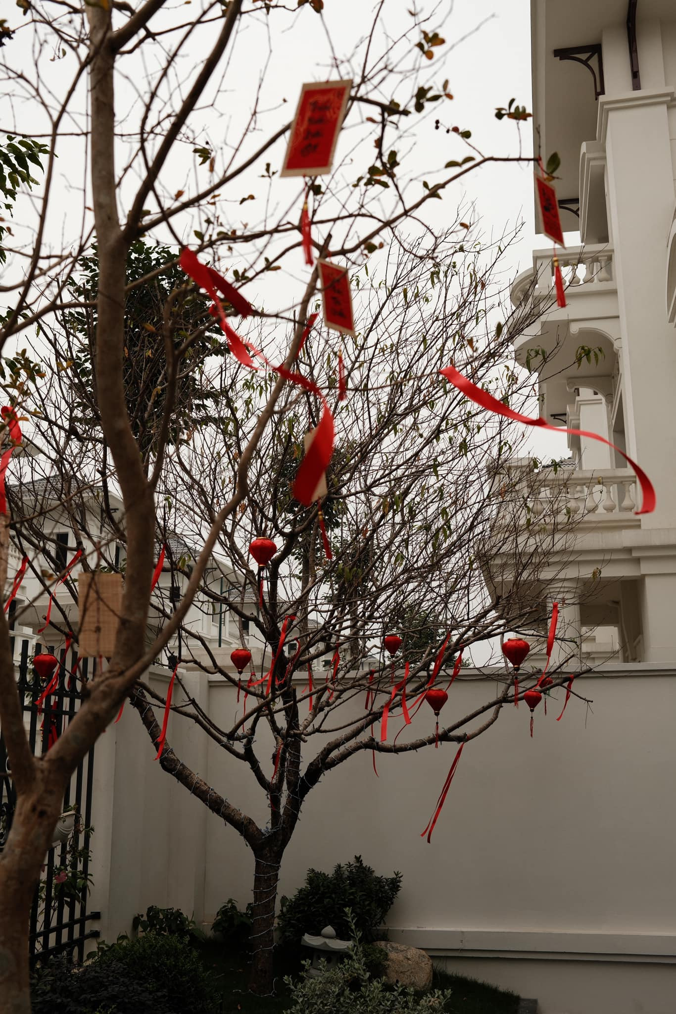 Á hậu Việt Nam 2014 sử dụng nhiều cây đào cỡ lớn để trang trí không gian căn biệt thự.