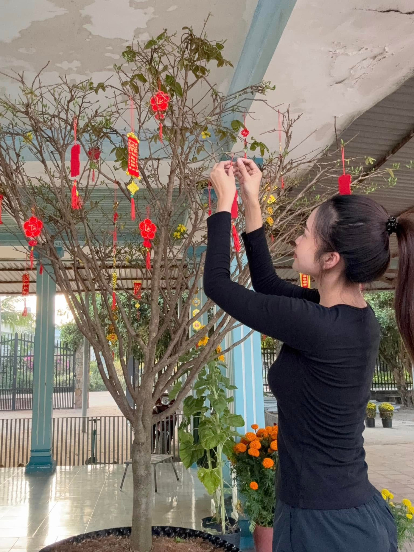 Hoa hậu Ngọc Châu trang trí cây cảnh vào chiều 29 Tết. Người đẹp chia sẻ cảm giác buồn bã, hụt hẫng khi năm nay cô đón Tết một mình, không có mẹ bên cạnh.