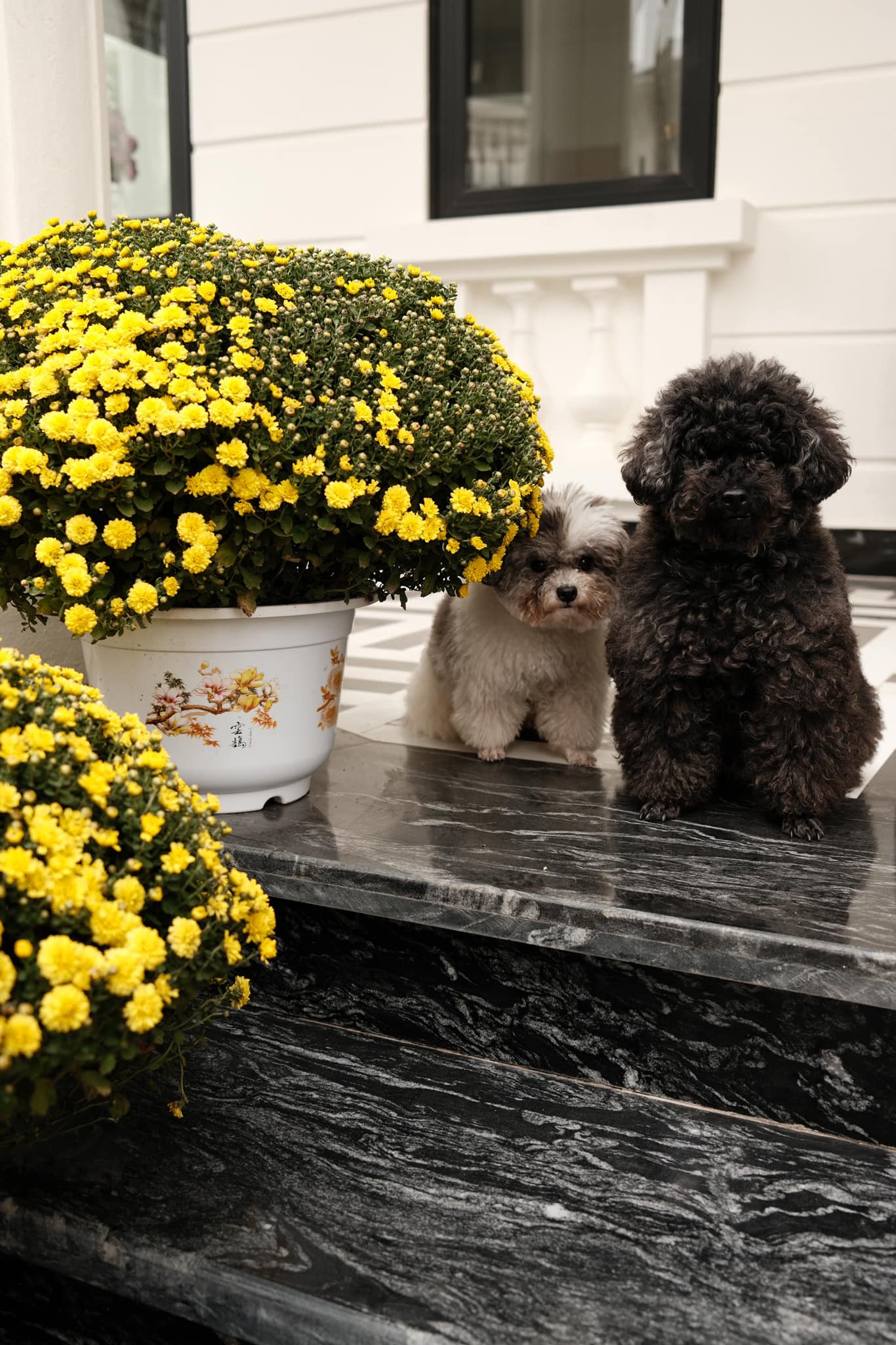 Biệt thự của Huyền My cũng được trang hoàng nhiều hoa tươi cao cấp cùng những đồ decor sang trọng, xa hoa.