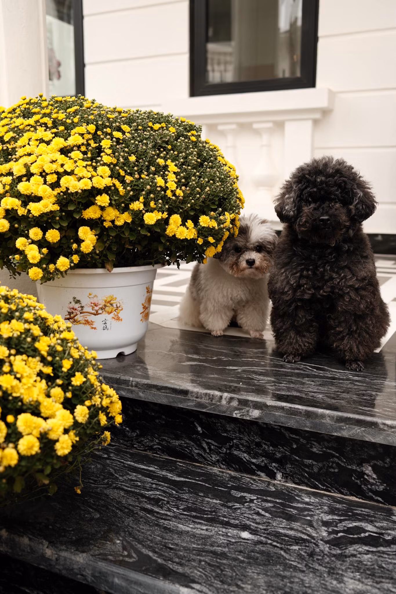 Biệt thự của Huyền My cũng được trang hoàng nhiều hoa tươi cao cấp cùng những đồ decor sang trọng, xa hoa.