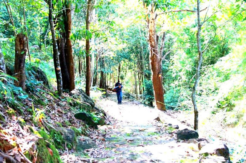 Đường lên đỉnh núi Cậu Bình Dương Đường lên đỉnh núi Cậu Bình Dương